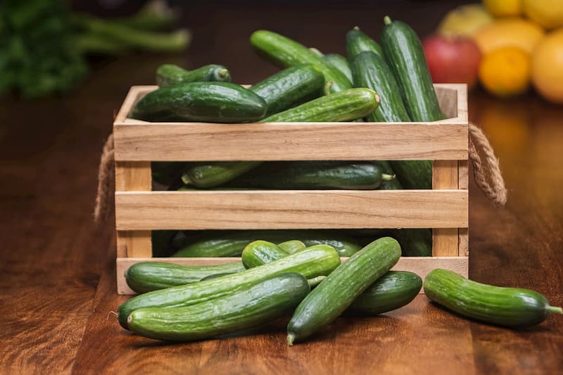 Photography of cucumbers getting ready for being pickled